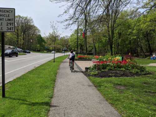 A cyclist rides on a paved path beside a road, with colorful flowers and greenery in the background.