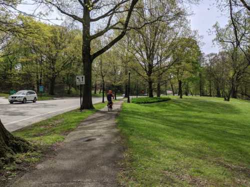 A person walks a dog along a path in a park, with trees and a road visible in the background.