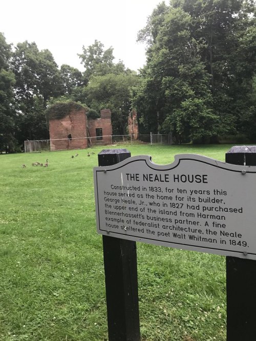 Sign in front of the Neale House ruins, surrounded by greenery and ducks, with historical information about the site.