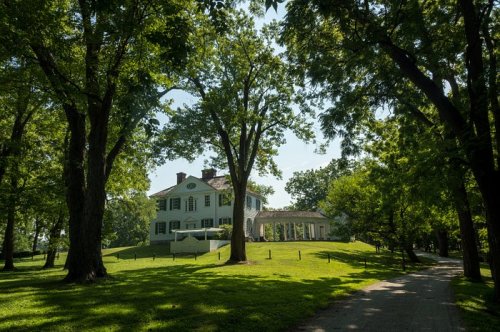 A large white house surrounded by lush green trees and a grassy lawn, with a pathway leading up to it.