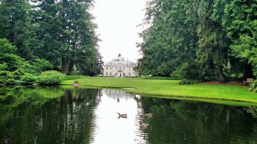 A serene mansion reflected in a pond, surrounded by lush greenery and tall trees. Geese swim in the water.