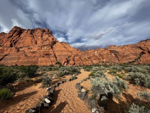 A sandy path winds through desert vegetation, leading to towering red rock formations under a cloudy sky.