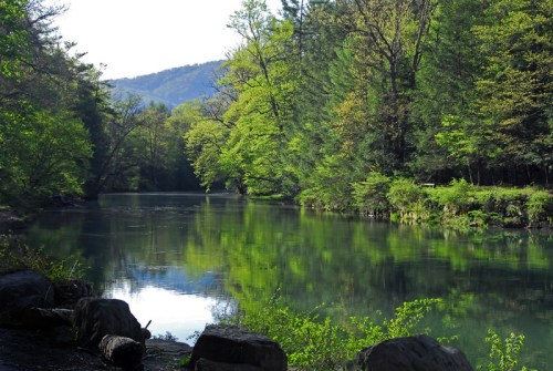 A serene river surrounded by lush green trees, reflecting the landscape under a clear blue sky.
