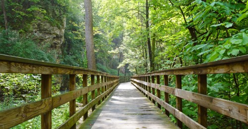 A boardwalk trail leads through the woods in Ohio.