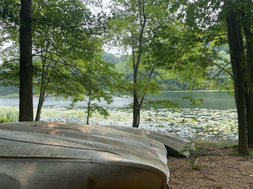 A serene lakeside scene with canoes resting on the shore, surrounded by lush trees and lily pads on the water.