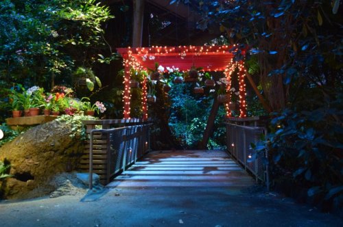 A bridge leads to a vibrant garden entrance adorned with colorful lights and hanging plants at night.