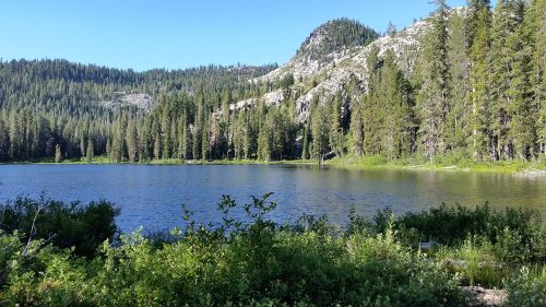 A serene lake surrounded by lush greenery and tall pine trees, with mountains in the background under a clear blue sky.