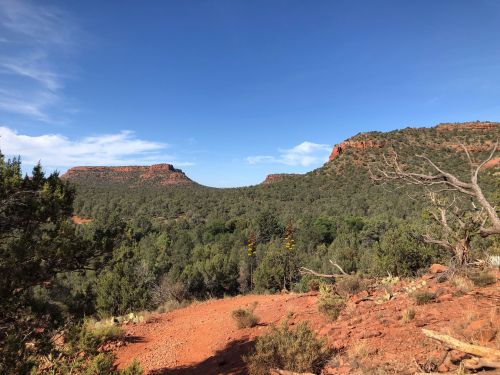 A scenic view of red rock formations surrounded by green trees under a clear blue sky.