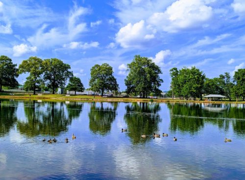 A serene lake reflecting trees and clouds, with ducks swimming peacefully in the water.