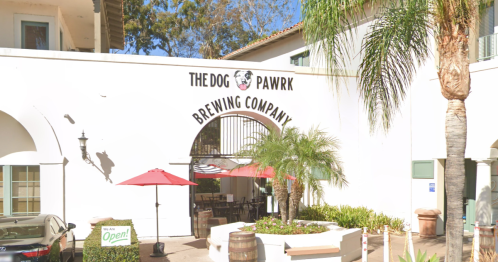 Exterior view of The Dog Pawrk Brewing Company, featuring palm trees, outdoor seating, and a welcoming sign.