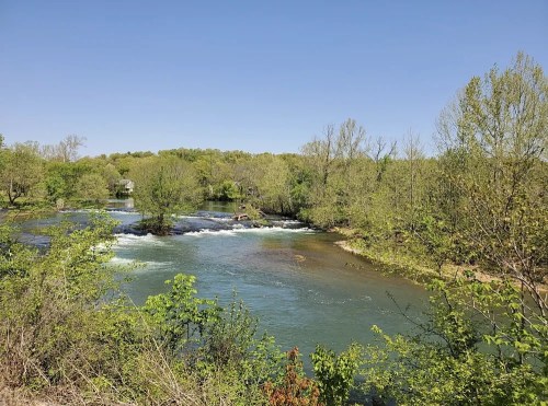 A serene river flows through lush greenery under a clear blue sky, with gentle rapids visible in the water.