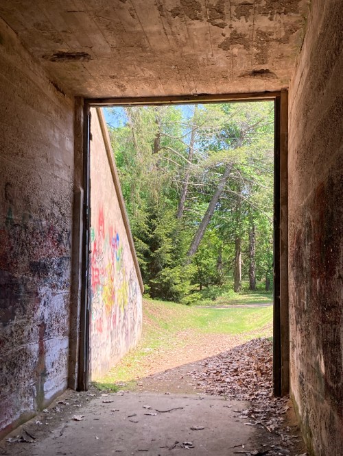 View from an open doorway leading to a grassy path surrounded by trees, with colorful graffiti on the walls.