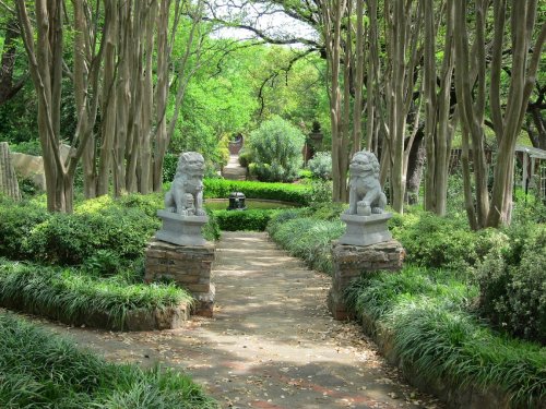 A serene garden path lined with greenery and stone lion statues, leading to a lush, tranquil area.