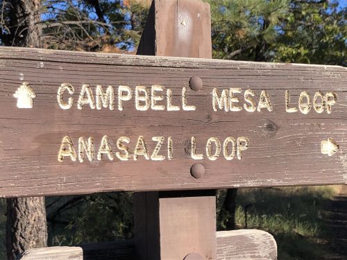 Wooden trail sign indicating directions for Campbell Mesa Loop and Anasazi Loop.