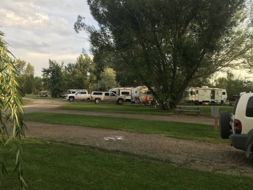 A row of RVs and campers parked along a grassy area, surrounded by trees under a cloudy sky.