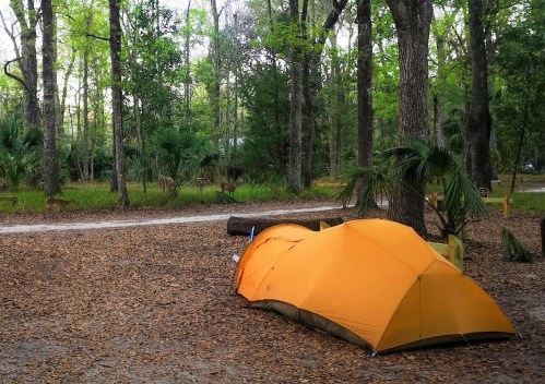 An orange tent set up on a forest floor covered with leaves, surrounded by trees and greenery.