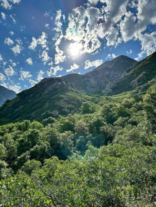 A sunlit mountain landscape with lush green trees and a blue sky dotted with fluffy clouds.