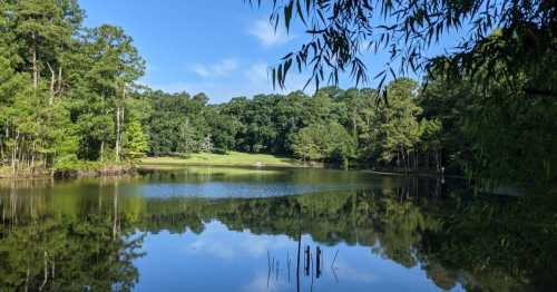 A serene lake surrounded by lush greenery and trees, reflecting the blue sky and distant hills.