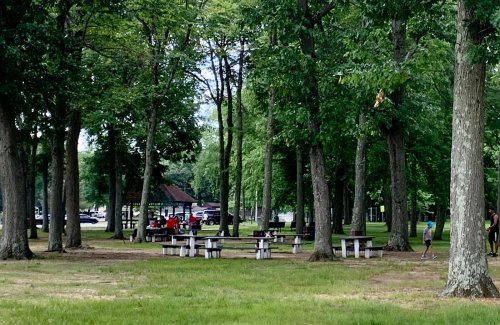 A park scene with green trees, picnic tables, and people in the background enjoying the outdoors.