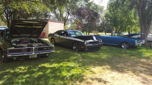 Three classic cars parked on grass: a black muscle car with the hood open, a sleek black car, and a blue vintage car.