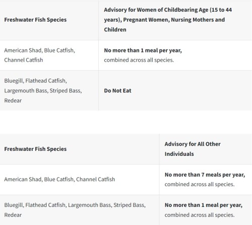 Table outlining fish consumption advisories for women of childbearing age and other individuals, with specific species listed.