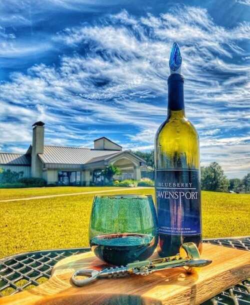 A bottle of blueberry wine and a glass sit on a wooden board, with a scenic sky and building in the background.