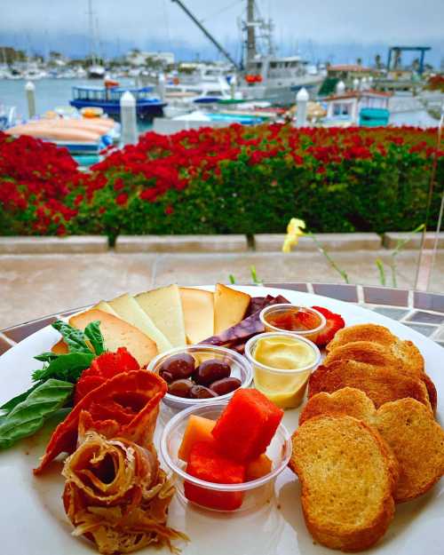 A plate of assorted cheeses, meats, olives, and fruit, with a marina and blooming flowers in the background.