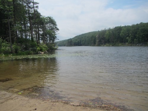 A serene lake surrounded by trees, with calm waters reflecting the sky and a sandy shore in the foreground.