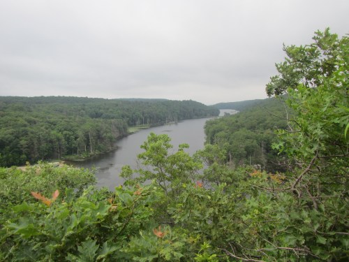 A serene view of a river winding through lush green forests under a cloudy sky.