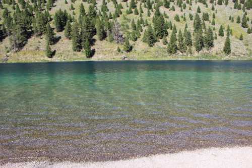 A serene lake with clear turquoise water, surrounded by green hills and pine trees.