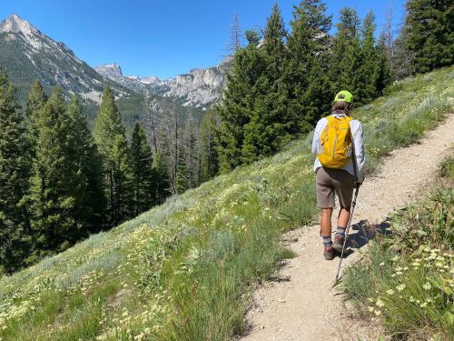 A hiker with a yellow backpack walks along a trail surrounded by green trees and mountains under a clear blue sky.