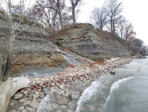 Rocky shoreline with layered cliffs, scattered leaves, and gentle waves lapping at the water's edge on a cloudy day.