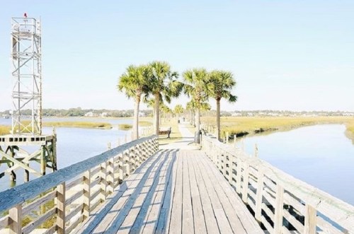 A wooden pier lined with palm trees extends over calm waters, leading to a scenic view of marshland and blue sky.