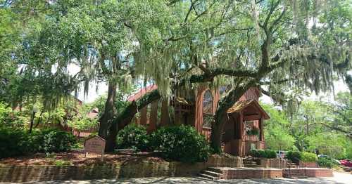 A charming wooden building surrounded by lush greenery and large trees draped with Spanish moss.