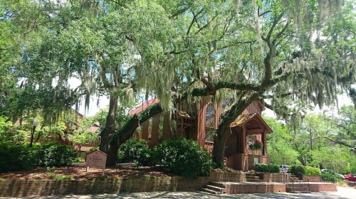 A rustic building surrounded by lush greenery and large trees draped with Spanish moss.