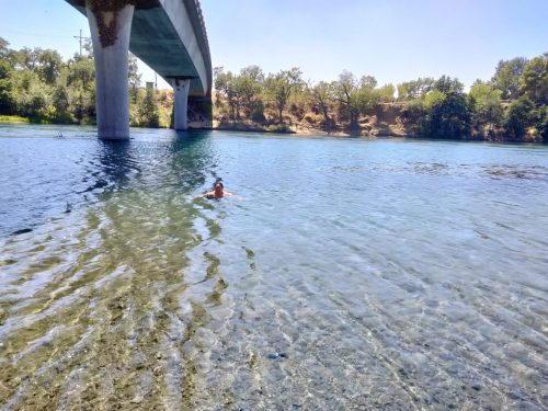 A person swims in clear water beneath a bridge, surrounded by trees and a sunny sky.
