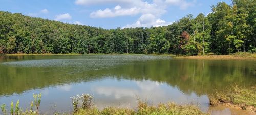 A serene lake surrounded by lush green trees under a partly cloudy sky. Reflections shimmer on the water's surface.