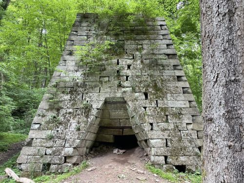 A moss-covered stone structure resembling a pyramid, surrounded by lush green trees in a forested area.