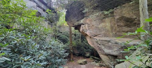 A narrow rocky passageway surrounded by lush greenery and towering stone walls.
