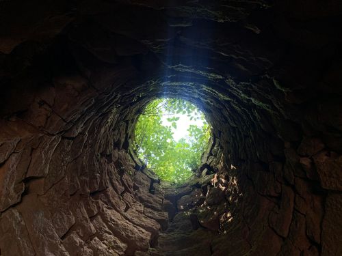 Looking up from the bottom of a stone well, sunlight and greenery visible at the top.