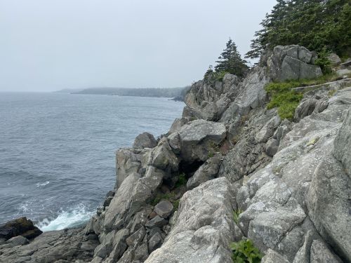 Rocky coastline with trees, overlooking a misty ocean under a cloudy sky.