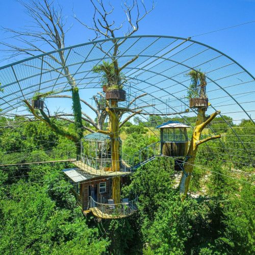 A unique treehouse structure surrounded by greenery, featuring a mesh canopy and multiple levels for exploration.