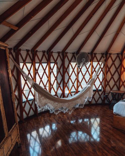 Cozy interior of a yurt featuring a hammock, wooden beams, and large windows with natural light.