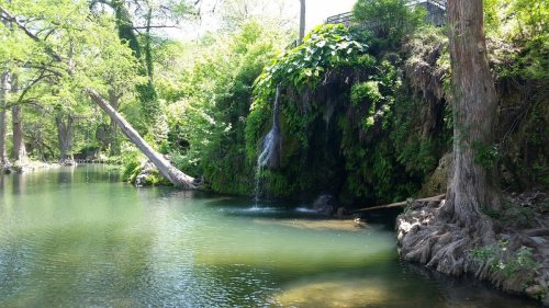 A serene scene of a small waterfall cascading into a calm, green-tinted pool surrounded by lush vegetation.