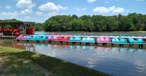 Colorful paddle boats in pink and blue lined up at a dock by a calm lake, surrounded by green trees and a clear sky.