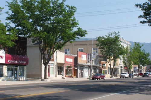 A quiet street lined with trees, featuring small shops and a cafe on a sunny day.