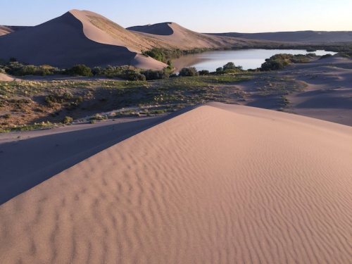 A serene landscape featuring sand dunes and a calm lake surrounded by greenery under a clear sky.