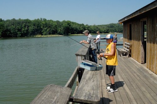 Three people fishing from a wooden dock by a lake on a sunny day, with trees in the background.
