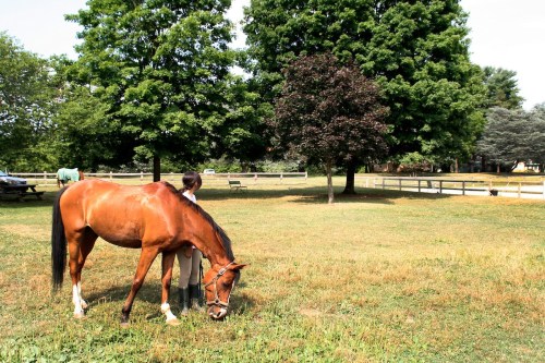A person stands beside a grazing horse in a grassy field, surrounded by trees and a wooden fence.