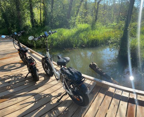 Two bicycles parked on a wooden path beside a calm stream, surrounded by lush greenery and sunlight.